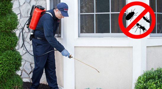 Koyulhisar Karınca İlaçlama böcek ilaçlama ve haşere kontrolü — ilaclama-tr.com
